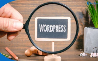 How to export and import a WordPress website and upload a Divi theme